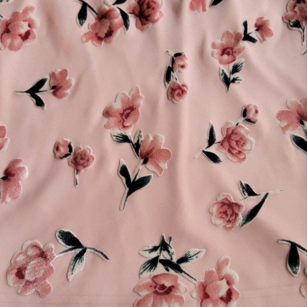 Floral Mesh Burnout Velvet Mini Dress - Picture 9 of 10